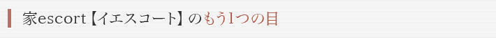 家escort【イエスコート】のもう1つの目